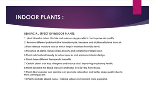 INDOOR PLANTS :
BENEFICIAL EFFECT OF INDOOR PLANTS:
1. plant absorb carbon dioxide and release oxygen which can improve air quality.
2. Remove different pollutants like formaldehyde, benzene and trichloroethylene from air.
3.Plant release moisture into air which help in maintain humidity level.
4.Presence of plants reduce stress.anxiety and symptoms of depression.
5.Plants add natural beauty to indoor spaces and enhance interior design.
6.Plants have different therapeutic benefits.
7.Certain plants can trap allergens and reduce dust, improving respiratory health.
8.Plants lowered the Blood pressure and helps in recovery from illness.
9.Plants like lavender and jasmine can promote relaxation and better sleep quality due to
their calming scent.
10.Plant can help absorb noise , making indoor environment more peaceful.
 