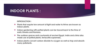 INDOOR PLANTS :
INTRODUCTION :
 Plants that require low amount of light and water to thrive are known as
indoor plants.
 Indoor gardening with potted plants can be traced back to the time of
early Greeks and Romans.
 The outdoor spaces and courtyards of ancient Egypt, India and china also
made use of potted plants, terracotta supremely.
 Indoor plants convert carbon dioxide to oxygen as well as trap and absorb
many pollutants.
 