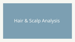 Hair & Scalp Analysis
 