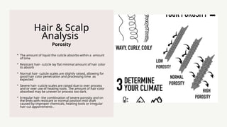 Porosity
Hair & Scalp
Analysis
? The amount of liquid the cuticle absorbs within a amount
of time
? Resistant hair- cuticle lay flat minimal amount of hair color
to absorb
? Normal hair- cuticle scales are slightly raised, allowing for
good hair color penetration and processing time as
expected
? Severe hair- cuticle scales are raised due to over process
and or over use of heating tools. The amount of hair color
absorbed may be uneven or process too dark.
? Irregular hair- the combination of severe porosity and on
the ends with resistant or normal position mid shaft
caused by improper chemicals, heating tools or irregular
hair cut appointments .
 