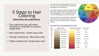 Determine the undertones
5 Steps to Hair
Coloring
? The undertone you will either
enhance or neutralize to achieve
target level
? Red undertones - Green base color
? Orange undertones - Blue base color
? Yellow undertones- Purple base color
 