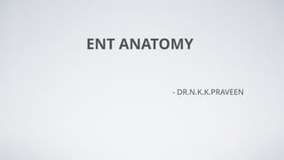 ENT ANATOMY in brief details and explanation.pptx