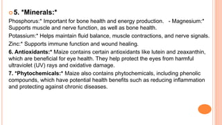 5. *Minerals:*
Phosphorus:* Important for bone health and energy production. - Magnesium:*
Supports muscle and nerve function, as well as bone health.
Potassium:* Helps maintain fluid balance, muscle contractions, and nerve signals.
Zinc:* Supports immune function and wound healing.
6. Antioxidants:* Maize contains certain antioxidants like lutein and zeaxanthin,
which are beneficial for eye health. They help protect the eyes from harmful
ultraviolet (UV) rays and oxidative damage.
7. *Phytochemicals:* Maize also contains phytochemicals, including phenolic
compounds, which have potential health benefits such as reducing inflammation
and protecting against chronic diseases.
 