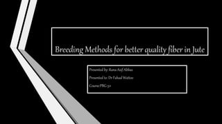 Breeding Methods for better quality fiber in Jute
Presented by: Rana Asif Abbas
Presented to: Dr Fahad Wattoo
Course:PBG-511
 
