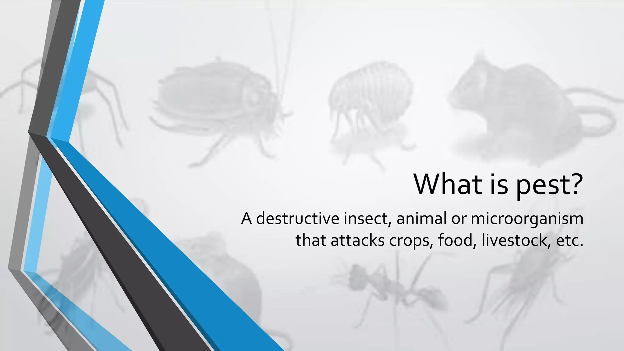 What is pest?
A destructive insect, animal or microorganism
that attacks crops, food, livestock, etc.
 