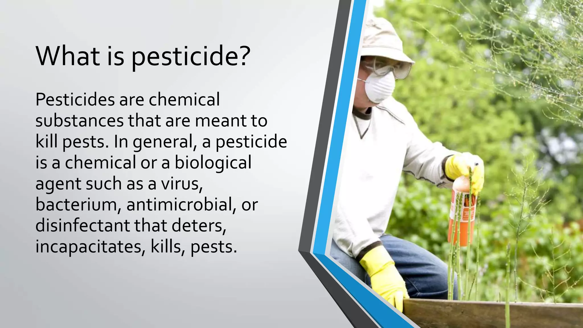What is pesticide?
Pesticides are chemical
substances that are meant to
kill pests. In general, a pesticide
is a chemical or a biological
agent such as a virus,
bacterium, antimicrobial, or
disinfectant that deters,
incapacitates, kills, pests.
 
