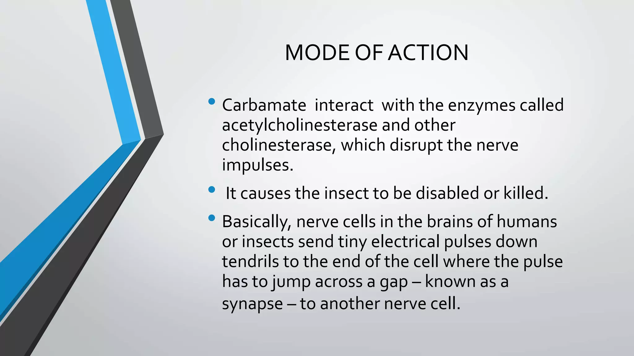 MODE OF ACTION
• Carbamate interact with the enzymes called
acetylcholinesterase and other
cholinesterase, which disrupt the nerve
impulses.
• It causes the insect to be disabled or killed.
• Basically, nerve cells in the brains of humans
or insects send tiny electrical pulses down
tendrils to the end of the cell where the pulse
has to jump across a gap – known as a
synapse – to another nerve cell.
 