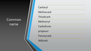 Common
name
Carbaryl
Methiocarb
Thiodicarb
Methomyl
Carbofuran
propoxur
Fenoxycarb
Aldicarb
 