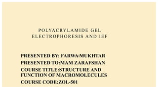 POLYACRYLAMIDE GEL
ELECTROPHORESIS AND IEF
PRESENTED BY: FARWA MUKHTAR
PRESENTED TO:MAM ZARAFSHAN
COURSE TITLE:STRUCTURE AND
FUNCTION OF MACROMOLECULES
COURSE CODE:ZOL-501
 