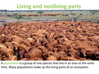 Living and nonliving parts
A population is a group of one species that live in an area at the same
time. Many populations make up the living parts of an ecosystem.
 