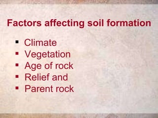 Factors affecting soil formation Climate Vegetation Age of rock Relief and Parent rock 