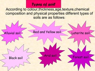 According to colour,thickness,age,texture,chemical composition and physical properties different types of soils are as follows: According to colour,thickness,age,texture,chemical composition and physical properties different types of soils are as follows : Alluvial soil Red and Yellow soil Laterite soil Black soil Arid soil Forest soil Types of soil 