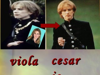 viola   cesar
 