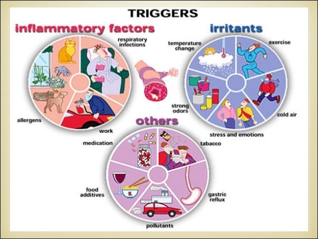 Phd thesis on asthma