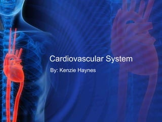 Cardiovascular System
By: Kenzie Haynes
 