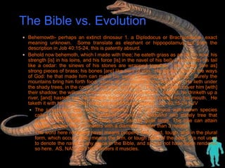 The Bible vs. Evolution 
 Behemowth- perhaps an extinct dinosaur 1. a Diplodocus or Brachiosaurus, exact 
meaning unknown. Some translate as elephant or hippopotamus but from the 
description in Job 40:15-24, this is patently absurd. 
 Behold now behemoth, which I made with thee; he eateth grass as an ox. Lo now, his 
strength [is] in his loins, and his force [is] in the navel of his belly. He moveth his tail 
like a cedar: the sinews of his stones are wrapped together. His bones [are as] 
strong pieces of brass; his bones [are] like bars of iron. He [is] the chief of the ways 
of God: he that made him can make his sword to approach [unto him]. Surely the 
mountains bring him forth food, where all the beasts of the field play. He lieth under 
the shady trees, in the covert of the reed, and fens. The shady trees cover him [with] 
their shadow; the willows of the brook compass him about. Behold, he drinketh up a 
river, [and] hasteth not: he trusteth that he can draw up Jordan into his mouth. He 
taketh it with his eyes: [his] nose pierceth through snares. Job 40:15-24 KJV 
 The juniper-like tree most likely referred to is the famous well-known species 
called "Cedrus libani", or "cedar-of-Lebanon," a beautiful and stately tree that 
grows in the Middle East. These trees can be quite large. The tree can attain 
heights greater than 40 meters with a diameter greater than 3 meters. 
 The word here rendered navel means properly firm, hard, tough, and in the plural 
form, which occurs here, means the firm, or tough parts of the belly. It is not used 
to denote the navel in any place in the Bible, and should not have been rendered 
so here. AS, NAS, and NIT renders it muscles. 
 