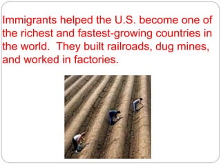 Immigrants helped the U.S. become one of 
the richest and fastest-growing countries in 
the world. They built railroads, dug mines, 
and worked in factories. 
 