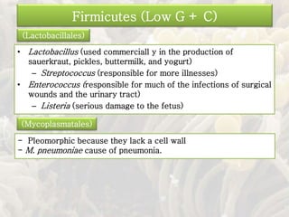 • Lactobacillus (used commerciall y in the production of
sauerkraut, pickles, buttermilk, and yogurt)
– Streptococcus (responsible for more illnesses)
• Enterococcus (responsible for much of the infections of surgical
wounds and the urinary tract)
– Listeria (serious damage to the fetus)
Firmicutes (Low G + C)
(Lactobacillales)
(Mycoplasmatales)
- Pleomorphic because they lack a cell wall
- M. pneumoniae cause of pneumonia.
 