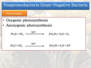 • Oxygenic photosynthesis
• Anoxygenic photosynthesis
Phototrophic
2H2O + CO2
light
(CH2O) + H2O + O2
2H2S + CO2
light
(CH2O) + H2O + 2S0
Nonproteobacteria Gram-Negative Bacteria
 
