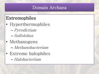 Domain Archaea
Extremophiles
• Hyperthermophiles
– Pyrodictium
– Sulfolobus
• Methanogens
– Methanobacterium
• Extreme halophiles
– Halobacterium
 