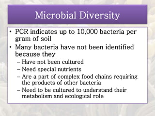 • PCR indicates up to 10,000 bacteria per
gram of soil
• Many bacteria have not been identified
because they
– Have not been cultured
– Need special nutrients
– Are a part of complex food chains requiring
the products of other bacteria
– Need to be cultured to understand their
metabolism and ecological role
Microbial Diversity
 