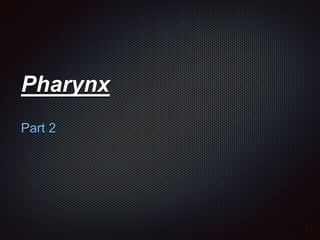 Pharynx
Part 2
 