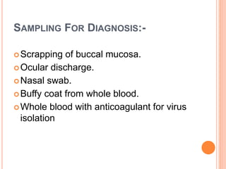 SAMPLING FOR DIAGNOSIS:-
Scrapping of buccal mucosa.
Ocular discharge.
Nasal swab.
Buffy coat from whole blood.
Whole blood with anticoagulant for virus
isolation
 