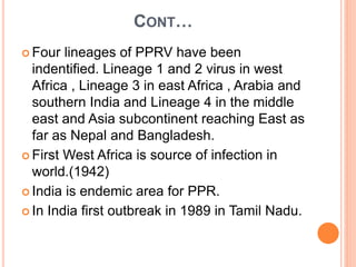 CONT…
 Four lineages of PPRV have been
indentified. Lineage 1 and 2 virus in west
Africa , Lineage 3 in east Africa , Arabia and
southern India and Lineage 4 in the middle
east and Asia subcontinent reaching East as
far as Nepal and Bangladesh.
 First West Africa is source of infection in
world.(1942)
 India is endemic area for PPR.
 In India first outbreak in 1989 in Tamil Nadu.
 