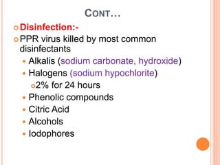 CONT…
Disinfection:-
PPR virus killed by most common
disinfectants
 Alkalis (sodium carbonate, hydroxide)
 Halogens (sodium hypochlorite)
2% for 24 hours
 Phenolic compounds
 Citric Acid
 Alcohols
 Iodophores
 