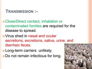TRANSMISSION :-
Close/Direct contact, inhalation or
contaminated fomites are required for the
disease to spread.
Virus shed in nasal and ocular
secretions, excretions, saliva, urine, and
diarrheic feces.
Long-term carriers unlikely.
Do not remain infectious for long.
 