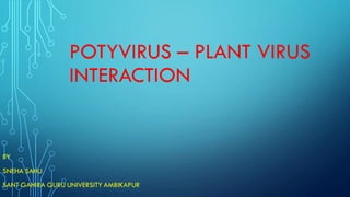 POTYVIRUS – PLANT VIRUS
INTERACTION
BY
SNEHA SAHU
SANT GAHIRA GURU UNIVERSITY AMBIKAPUR
 