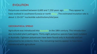EVOLUTION
Potyviruses evolved between 6,600 and 7,250 years ago.[9][10] They appear to
have evolved in southwestEurasia or north Africa. The estimated mutation rate is
about 1.15×10−4 nucleotide substitutions/site/year.
GEOGRAPHICAL SPREAD
Agriculture was introduced into Australia in the 18th century. This introduction
also included plant pathogens. Thirty eight potyvirus species have been isolated
in Australia. Eighteen potyviruses have been found only in Australia and are
presumed to be endemic there. The remaining twenty appear to have been
introduced with agriculture
 