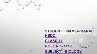 STUDENT NAME-PRANALI
HEDO.
CLASS-11
ROLL NO- 1112
SUBJECT –BIOLOGY
 