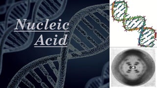Nucleic
Acid
 