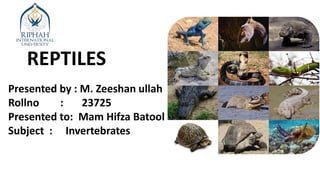 REPTILES
Presented by : M. Zeeshan ullah
Rollno : 23725
Presented to: Mam Hifza Batool
Subject : Invertebrates
 