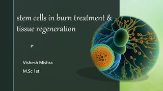 z
stem cells in burn treatment &
tissue regeneration
Vishesh Mishra
M.Sc 1st
 