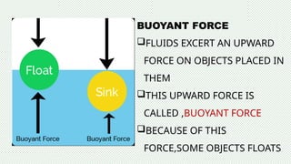 Understanding Archimedes' Principle and Buoyant Force: The Science ...