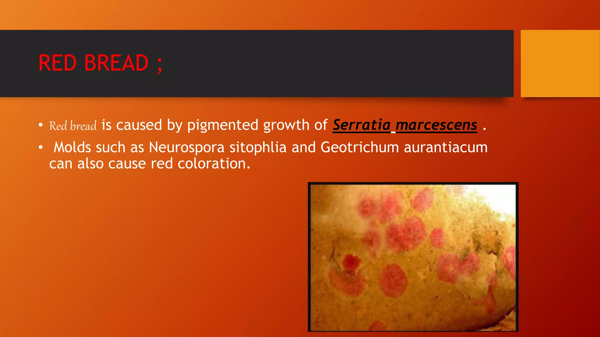 RED BREAD ;
• Red bread is caused by pigmented growth of Serratia marcescens .
• Molds such as Neurospora sitophlia and Geotrichum aurantiacum
can also cause red coloration.
 