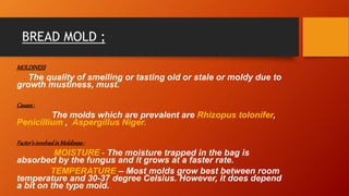 BREAD MOLD ;
MOLDINESS:
The quality of smelling or tasting old or stale or moldy due to
growth mustiness, must.
Causes:
The molds which are prevalent are Rhizopus tolonifer,
Penicillium , Aspergillus Niger.
Factor’sinvolvedinMoldiness:
MOISTURE – The moisture trapped in the bag is
absorbed by the fungus and it grows at a faster rate.
TEMPERATURE – Most molds grow best between room
temperature and 30-37 degree Celsius. However, it does depend
a bit on the type mold.
 