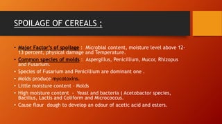 SPOILAGE OF CEREALS ;
• Major Factor’s of spoilage : Microbial content, moisture level above 12-
13 percent, physical damage and Temperature.
• Common species of molds : Aspergillus, Penicillium, Mucor, Rhizopus
and Fusarium.
• Species of Fusarium and Penicillium are dominant one .
• Molds produce mycotoxins.
• Little moisture content – Molds
• High moisture content - Yeast and bacteria ( Acetobactor species,
Bacillus, Lactis and Coliform and Micrococcus.
• Cause flour dough to develop an odour of acetic acid and esters.
 
