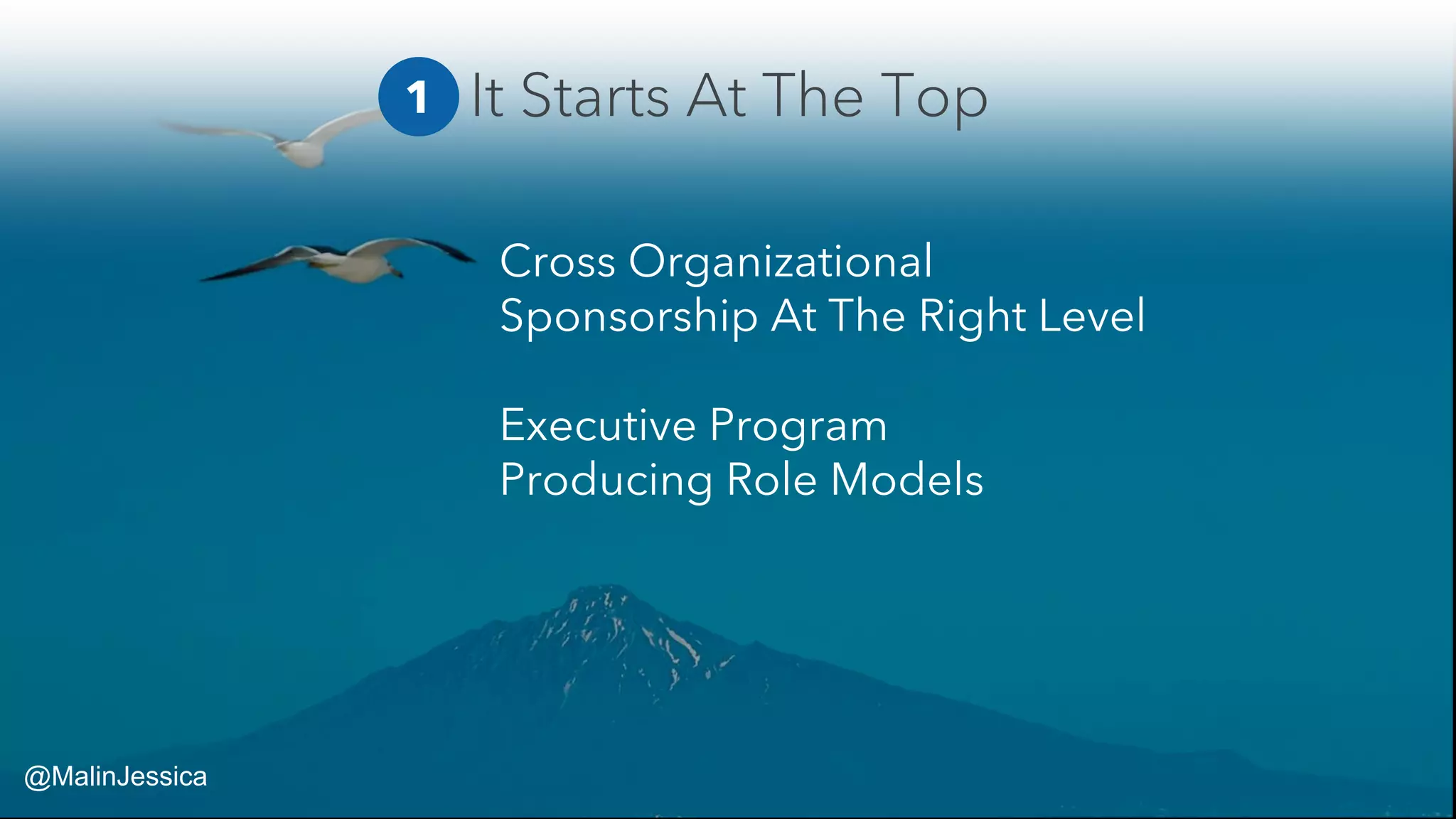Cross Organizational
Sponsorship At The Right Level
Executive Program
Producing Role Models
It Starts At The Top1
@MalinJessica
 
