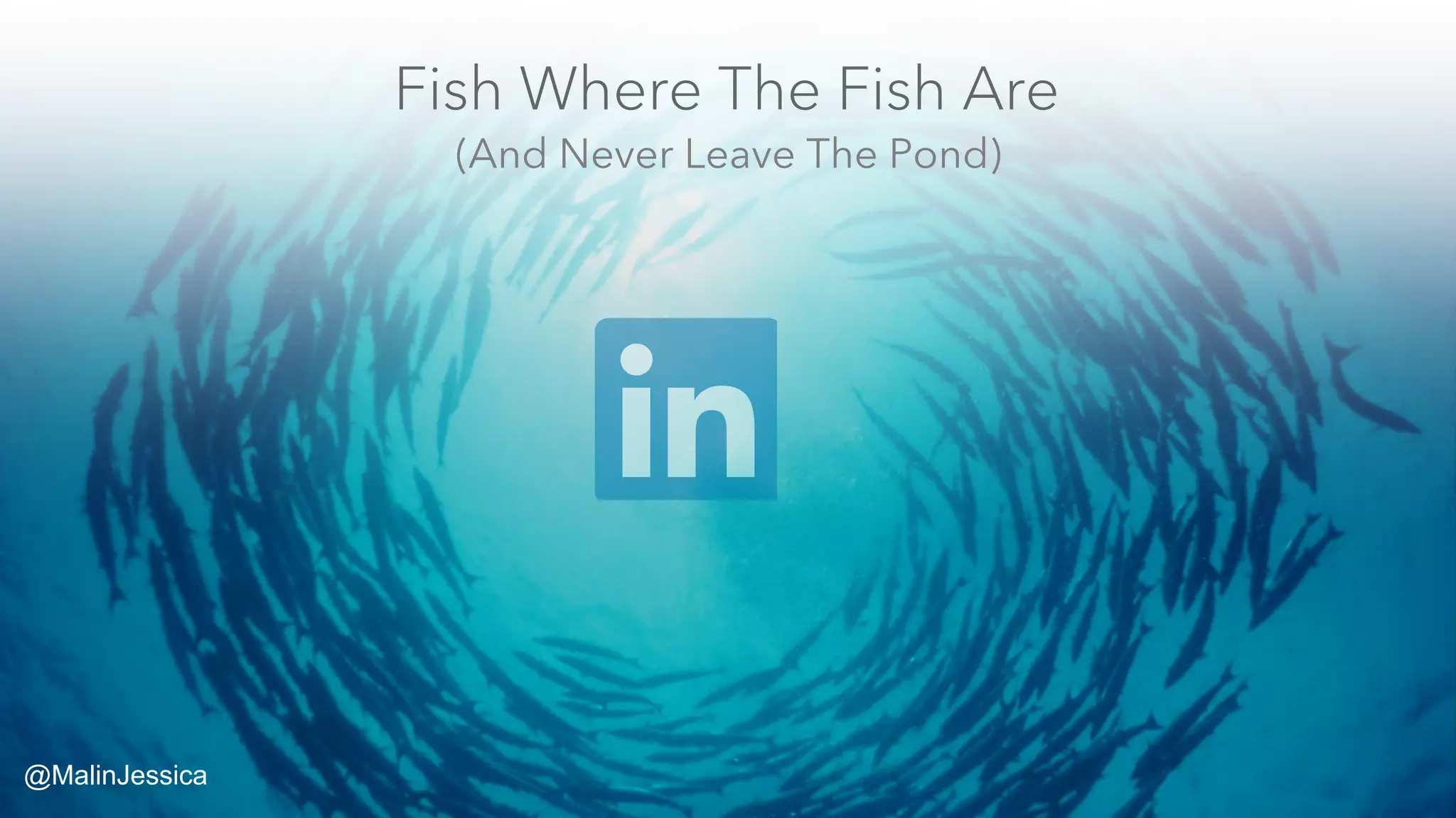 Fish Where The Fish Are
(And Never Leave The Pond)
@MalinJessica
 