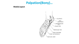 Palpation(Bony)…
Medial aspect
 