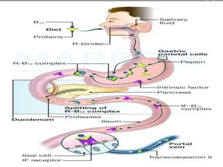 ppt 6 dr.kd rao[nursing biochem] | PPTX