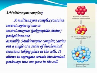 3.Multienzymecomplex:
A multienzyme complex contains
several copies of one or
several enzymes (polypeptide chains)
packed into one
assembly. Multienzyme complex carries
out a single or a series of biochemical
reactions taking place in the cells. It
allows to segregate certain biochemical
pathways into one pace in the cell.
 