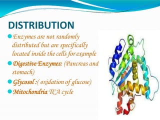 DISTRIBUTION
⚫Enzymes are not randomly
distributed but are specifically
located inside the cells for example
⚫Digestive Enzymes: (Pancreas and
stomach)
⚫Glycosol :( oxidation of glucose)
⚫Mitochondria TCA cycle
 