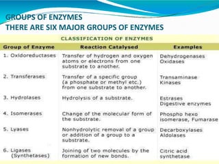 GROUPS OF ENZYMES
THERE ARE SIX MAJOR GROUPS OF ENZYMES
 