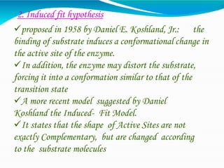 2. Induced fit hypothesis
proposed in 1958 by Daniel E. Koshland, Jr.: the
binding of substrate induces a conformational change in
the active site of the enzyme.
In addition, the enzyme may distort the substrate,
forcing it into a conformation similar to that of the
transition state
A more recent model suggested by Daniel
Koshland the Induced- Fit Model.
It states that the shape of Active Sites are not
exactly Complementary, but are changed according
to the substrate molecules
 