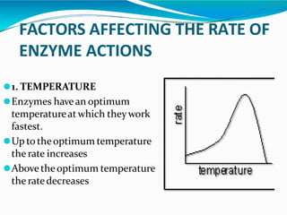 FACTORS AFFECTING THE RATE OF
ENZYME ACTIONS
⚫1. TEMPERATURE
⚫Enzymes havean optimum
temperatureatwhich theywork
fastest.
⚫Up totheoptimum temperature
the rate increases
⚫Abovetheoptimum temperature
the ratedecreases
 
