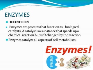 ENZYMES
⚫DEFINITION
⚫ Enzymes are proteins that functionas biological
catalysts. A catalyst is a substance thatspeeds upa
chemical reaction but isn’tchanged by the reaction.
⚫Enzymescatalyzeall aspectsof cell metabolism.
 